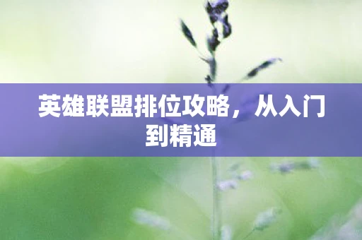 英雄联盟排位攻略，从入门到精通