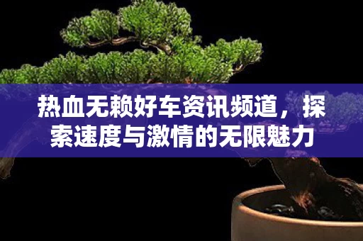 热血无赖好车资讯频道,探索速度与激情的无限魅力 热血无赖好车资讯频道,探索速度与激情的无限魅力