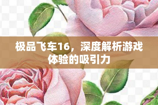 极品飞车16，深度解析游戏体验的吸引力