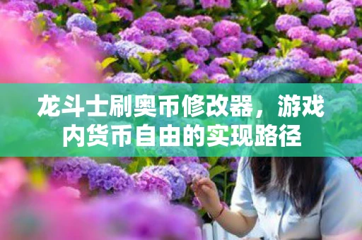 龙斗士刷奥币修改器，游戏内货币自由的实现路径