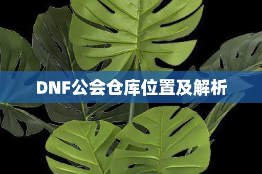 DNF公会仓库位置及解析