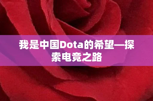 我是中国Dota的希望—探索电竞之路