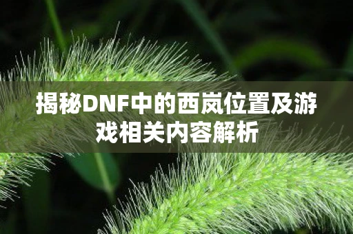 揭秘DNF中的西岚位置及游戏相关内容解析