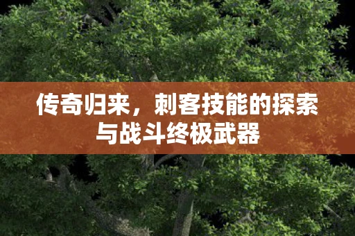 传奇归来，刺客技能的探索与战斗终极武器