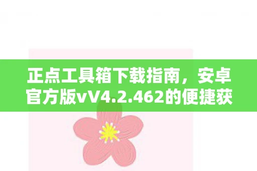 正点工具箱下载指南，安卓官方版vV4.2.462的便捷获取方式