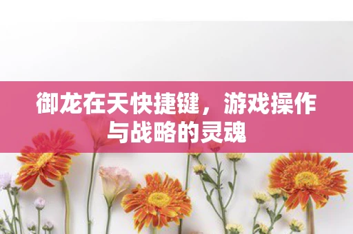 御龙在天快捷键，游戏操作与战略的灵魂