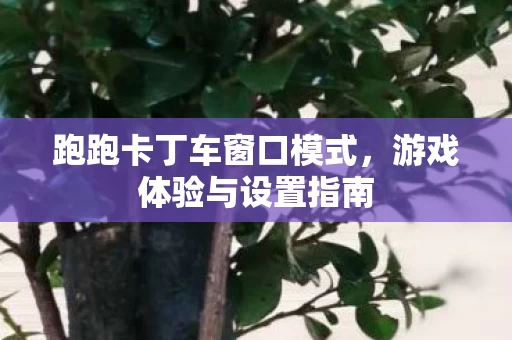 跑跑卡丁车窗口模式图片