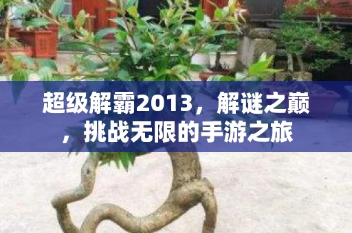 挑战无限的手游之旅图片
