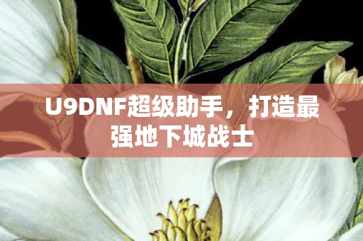 U9DNF超级助手，打造最强地下城战士