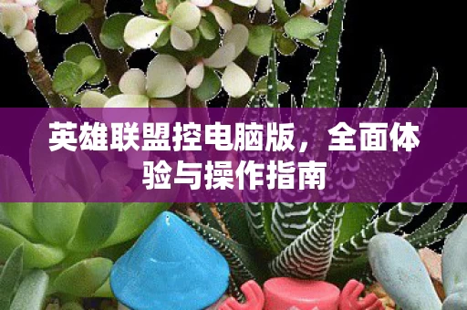 全面体验与操作指南图片