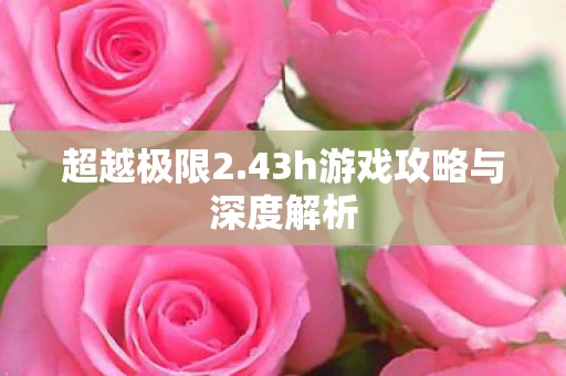 43h游戏攻略与深度解析图片