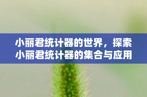 小丽君统计器的世界，探索小丽君统计器的集合与应用