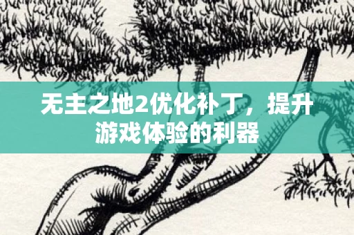 无主之地2优化补丁图片