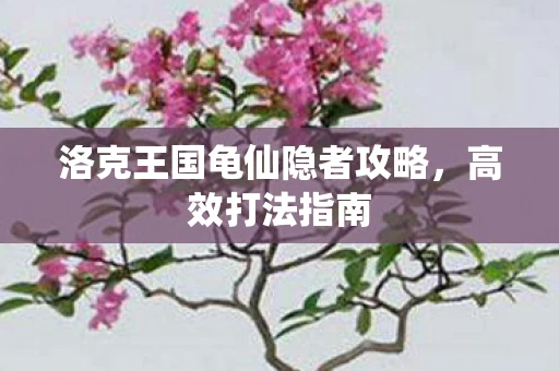洛克王国龟仙隐者攻略，高效打法指南