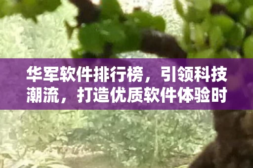 打造优质软件体验时代图片