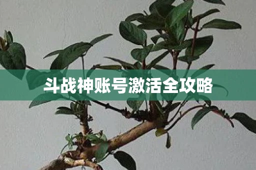 斗战神账号激活全攻略