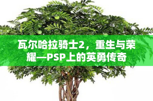 PSP上的英勇传奇图片