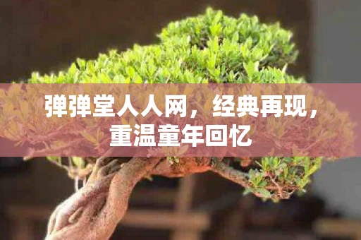 弹弹堂人人网，经典再现，重温童年回忆
