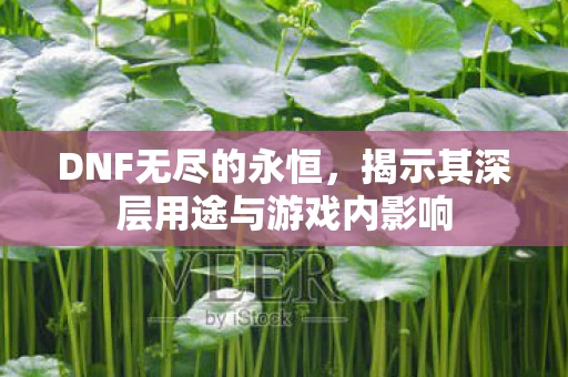 揭示其深层用途与游戏内影响图片