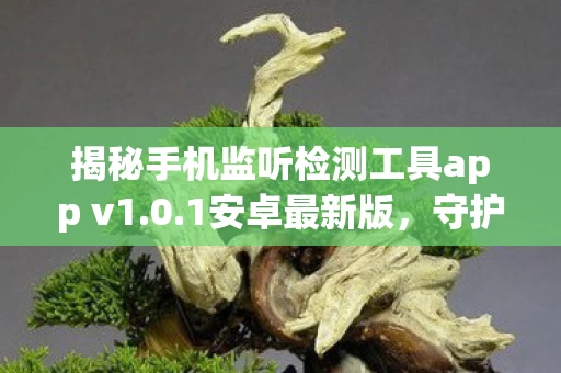 揭秘手机监听检测工具app v1图片