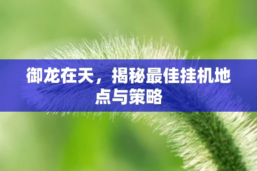 揭秘最佳挂机地点与策略图片