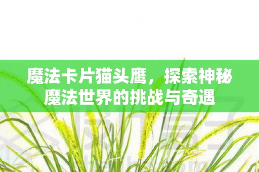 探索神秘魔法世界的挑战与奇遇图片