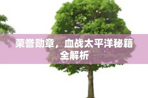 血战太平洋秘籍全解析图片