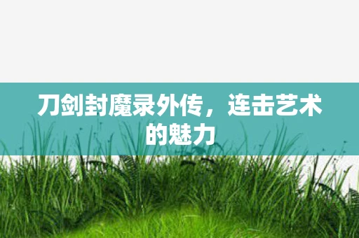 刀剑封魔录外传，连击艺术的魅力