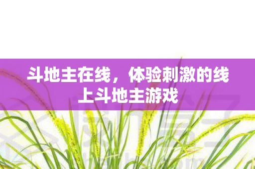 斗地主在线，体验刺激的线上斗地主游戏