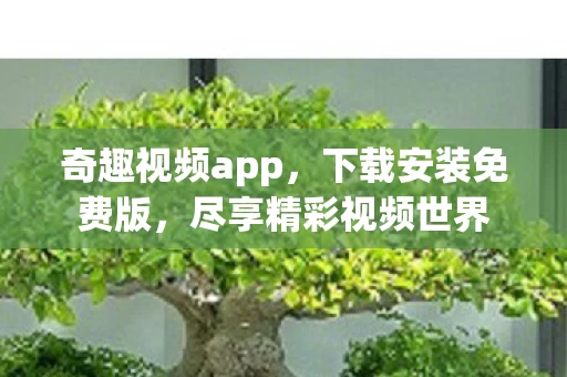 尽享精彩视频世界图片