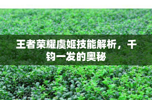 王者荣耀虞姬技能解析图片