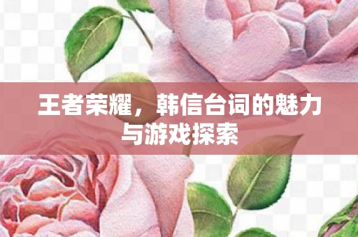 韩信台词的魅力与游戏探索图片