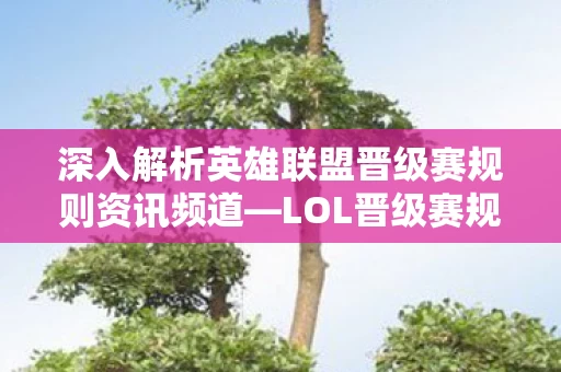 深入解析英雄联盟晋级赛规则资讯频道图片