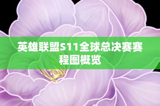 英雄联盟S11全球总决赛赛程图概览图片