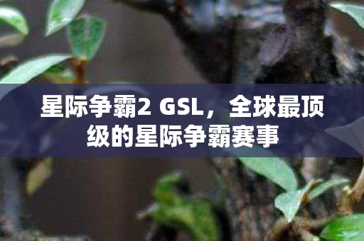星际争霸2 GSL，全球最顶级的星际争霸赛事