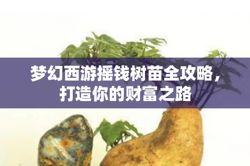 梦幻西游摇钱树苗全攻略，打造你的财富之路