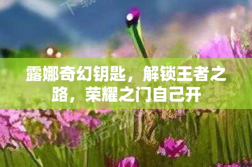 荣耀之门自己开图片