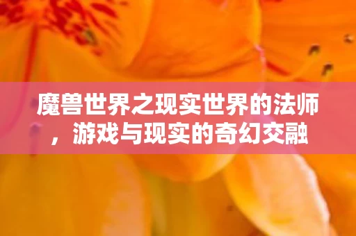魔兽世界之现实世界的法师图片