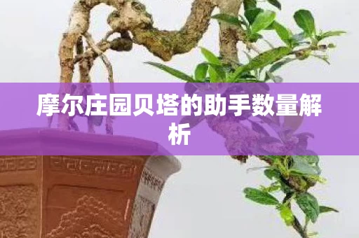 摩尔庄园贝塔的助手数量解析图片