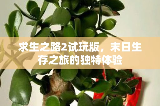 末日生存之旅的独特体验图片
