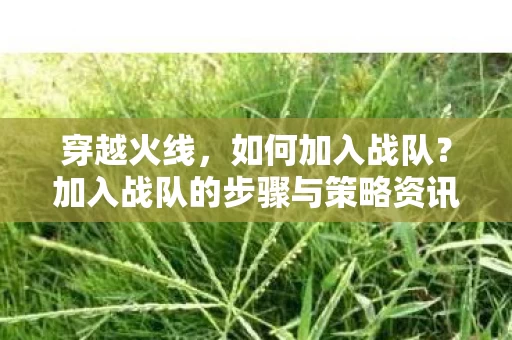 加入战队的步骤与策略资讯图片