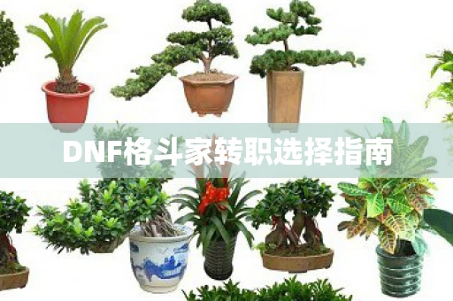 DNF格斗家转职选择指南
