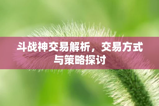 交易方式与策略探讨图片