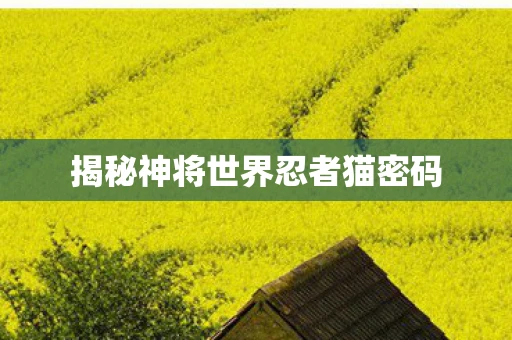 揭秘神将世界忍者猫密码