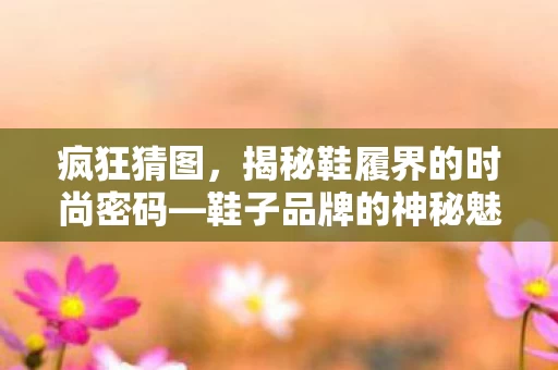 揭秘鞋履界的时尚密码图片