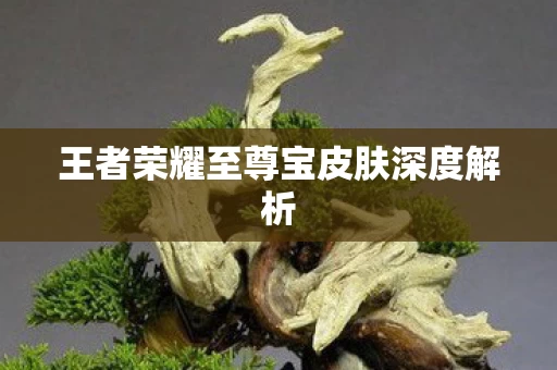 王者荣耀至尊宝皮肤深度解析图片