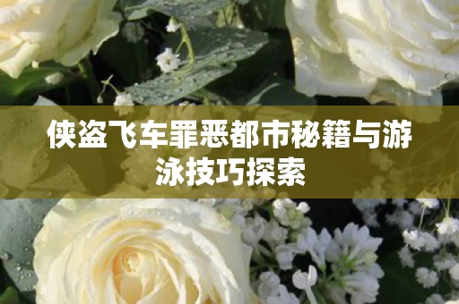 侠盗飞车罪恶都市秘籍与游泳技巧探索图片