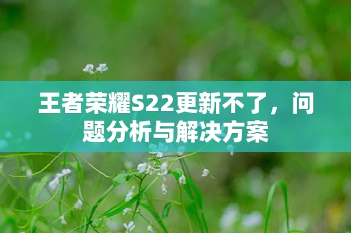 王者荣耀S22更新不了图片