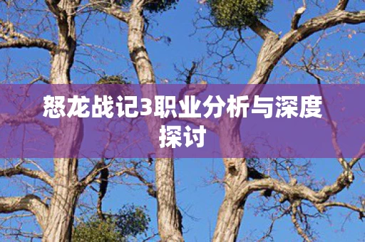 怒龙战记3职业分析与深度探讨图片