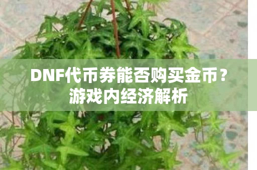 DNF代币券能否购买金币图片